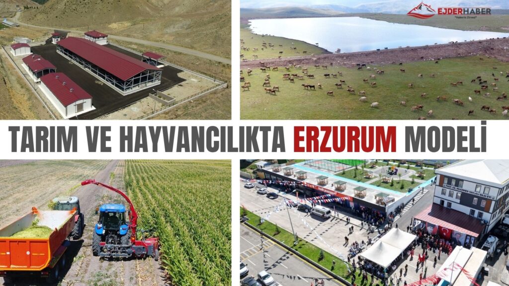 TARIM VE HAYVANCILIKTA ERZURUM MODELİ
